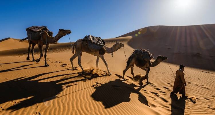 3 Days Sahara Desert Tour from Marrakech to Fes - Guided Morocco Tours 4