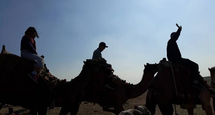 12 Days Cairo, Alexandria & Nile Cruise by Flight - Egypt Online Tour 3