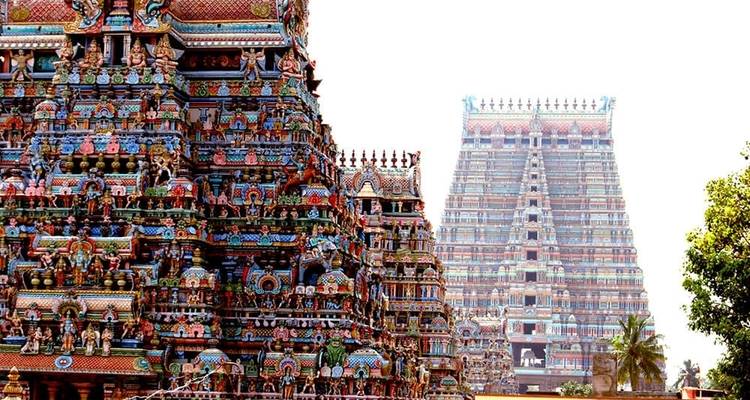 Pleins feux sur l'Inde du Sud - Tamilnadu, Kerala et Karnataka - MTA Destination Management Company 9