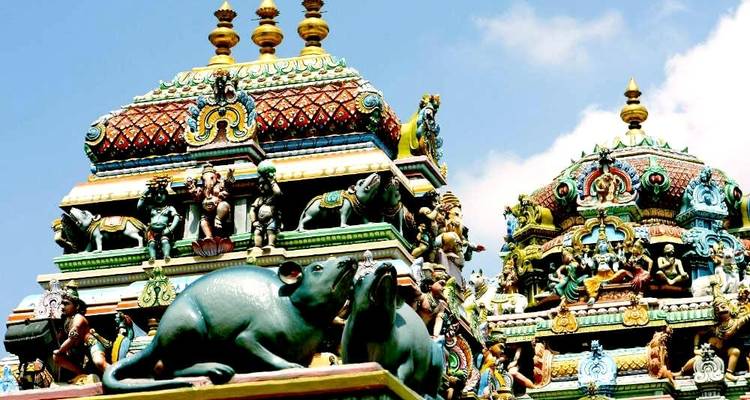 Pleins feux sur l'Inde du Sud - Tamilnadu, Kerala et Karnataka - MTA Destination Management Company 10