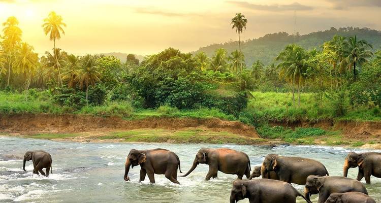 Best Touch Of Sri Lanka - Capital Lanka Tours 10