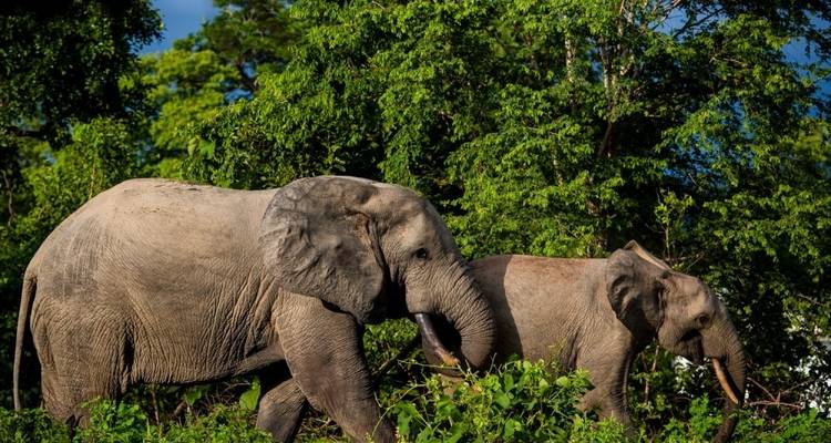 Circuit de 7 jours dans le nord du Ghana - Grassroot Tours Ghana 3