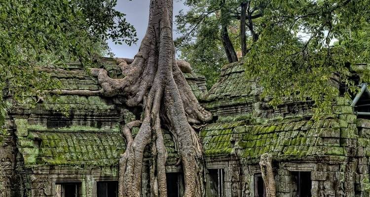 5 Days - Angkor Family Bicycle Tour - Siem Reaper Travel 6