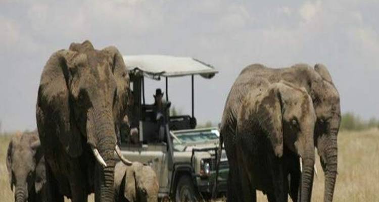 8 Days Kenya Safaris Adventure Claudious Tours And Safaris 8 Days Kenya Safaris Adventure Claudious Tours And Safaris