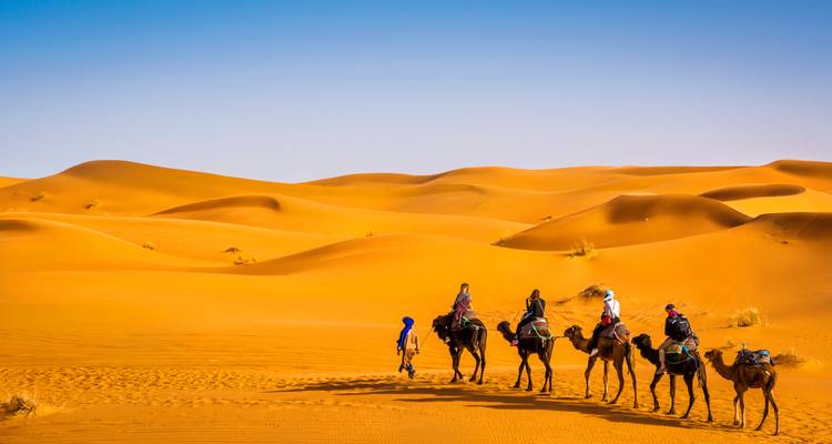 Gruppe reitet auf Kamelen durch Wüstendünen.