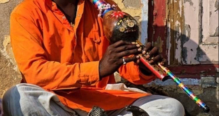 Circuit du Triangle d'Or avec Haridwar et Rishikesh - Discover Amazing India 2