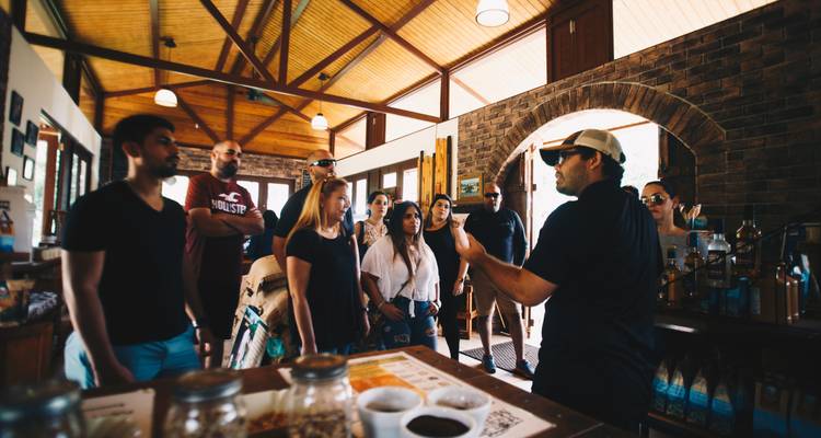 Circuito del café de Puerto Rico y experiencia en la cascada - Spotin 6