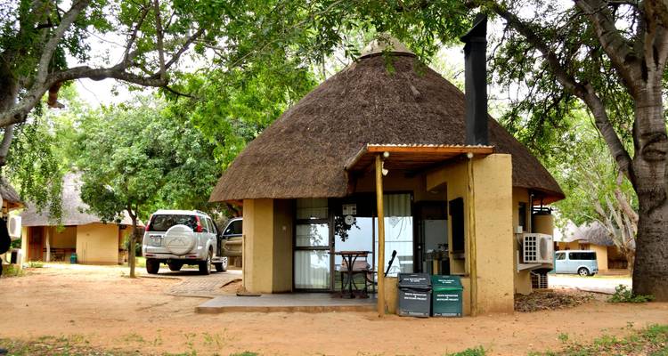 Safari definitivo a los 5 grandes del parque Kruger - Endless Summer Tours 9