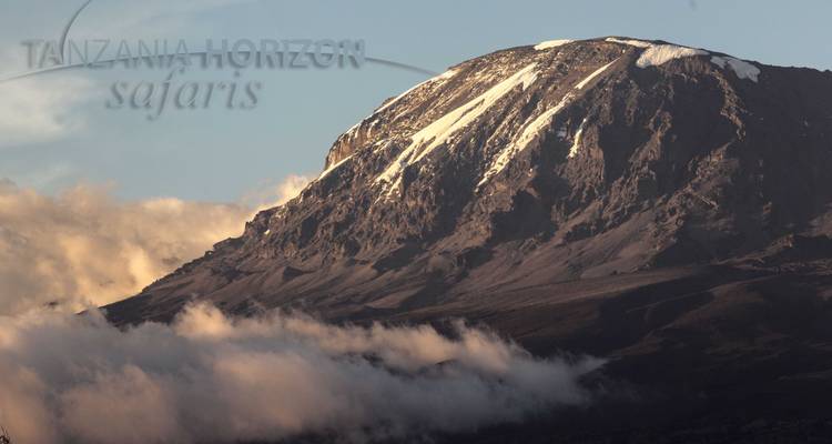 8 jours sur la Route du Lemosho + 2 nuits d'hôtel - Tanzania Horizon Safaris 10