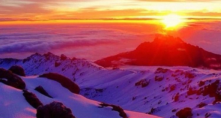 8 Days Lemosho Route + 2 Nights Hotel - Tanzania Horizon Safaris 8