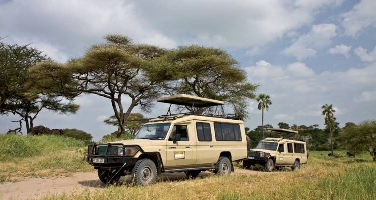 Tanzania and Kenya Safari Combined - 12 Days - Jeep Safaris and Tours 2