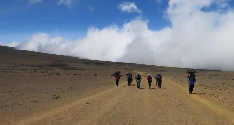 Mt. Kilimanjaro Climbing - Marangu Route - 6 Days - Marangu Treks 7