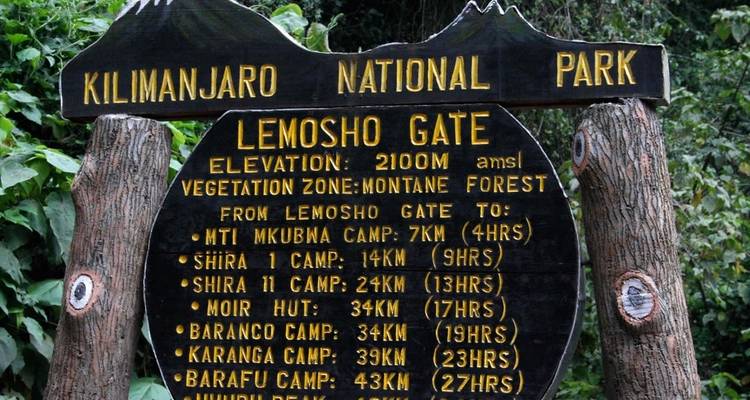Climbing Mount Kilimanjaro - Lemosho Route - Jeep Safaris and Tours 4