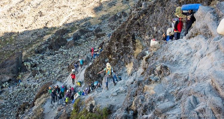 Climbing Mount Kilimanjaro - Lemosho Route - Jeep Safaris and Tours 5