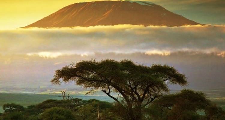 Climbing Mount Kilimanjaro - Lemosho Route - Jeep Safaris and Tours 3