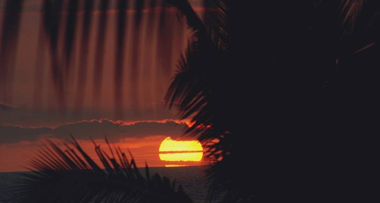 Hawaiian Discovery - Trafalgar 3