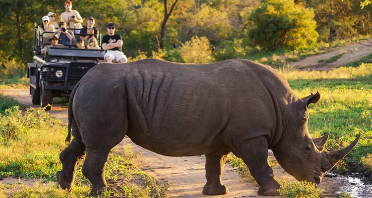 Safari dans le parc national Kruger et sur la route panoramique - 3 jours - Amatungulu Tour 7