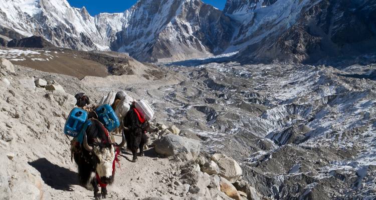 Excursionismo en campamento base del Everest 14 días - Oriental Journeys Pvt. Ltd. 6