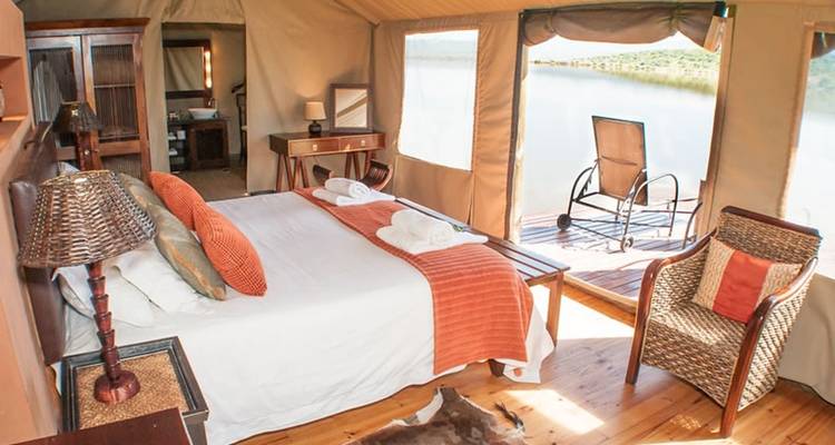 2 jours de circuit safari animalier en Afrique du Sud au départ du Cap - Hotspots2c 7