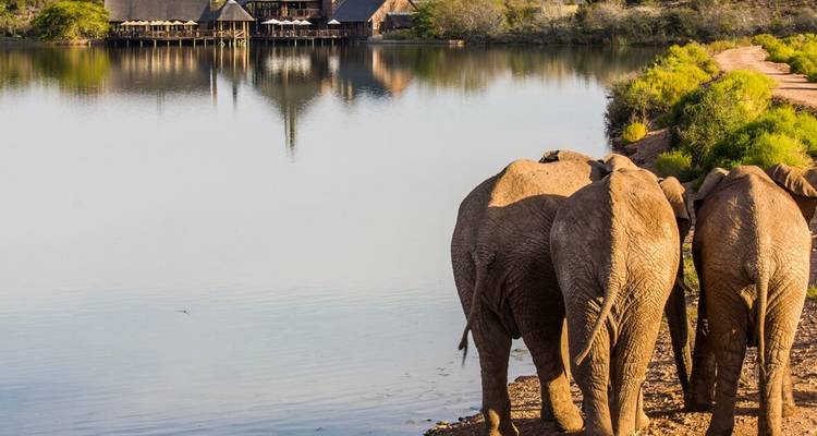 2 jours de circuit safari animalier en Afrique du Sud au départ du Cap - Hotspots2c 4