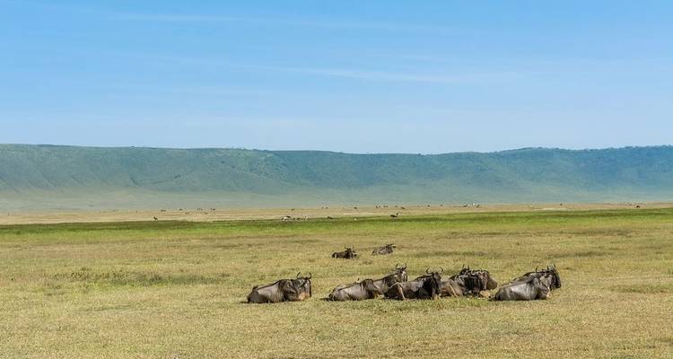 Safari classique africain de 12 jours - Holiday Destination Safaris 8