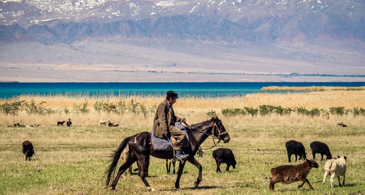Circuit de 12 jours au Kirghizstan et au Kazakhstan - Steppe Journeys 2