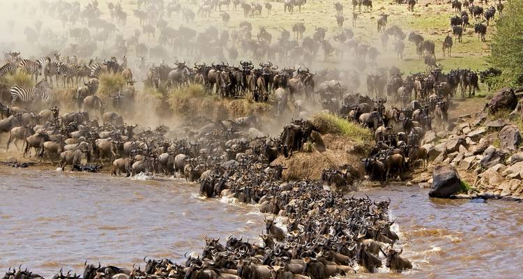 7 JOURS ET 6 NUITS DE SAFARI EN GROUPE À PRIX RÉDUIT DANS LES PARCS DE MAASAI MARA, DU LAC NAKURU, DE NAIVASHA ET D'AMBOSELI - Perfect Wilderness Tours And Safaris 3