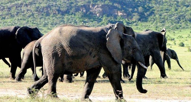 Safari de 3 jours dans le Masai Mara - Sterling Travel 1