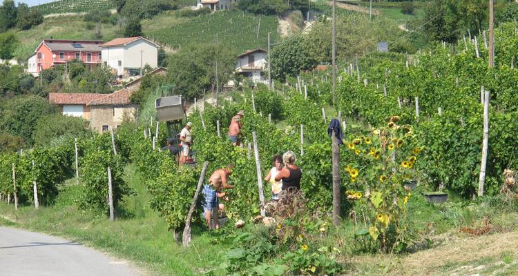 Cyclisme dans les villages viticoles du Piémont - Exodus Adventure Travels 10