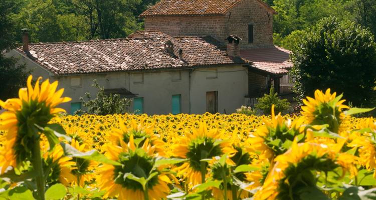 Cyclisme dans les villages viticoles du Piémont - Exodus Adventure Travels 4