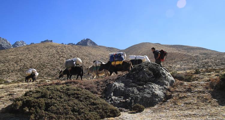 Trek du camp de base de l'Everest 12 jours - Départ fixe pour 2023 - Scenic Nepal Treks & Expedition Pvt. Ltd 1