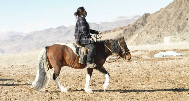 Randonnée à cheval dans les montagnes de l'Altaï - BTTC Travel 7