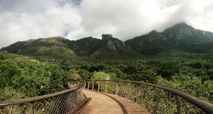 Circuito por Ciudad del Cabo, Winelands, Ruta Jardín y Parque Nacional de Addo - Amatungulu Tour 9