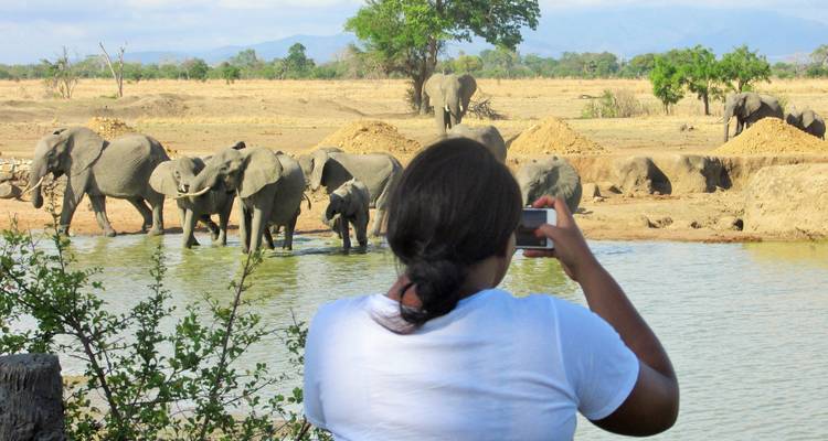 5 Days Tanzania Lodge Safari - Lake Manyara, Serengeti & Ngorongoro Crater - Tanzania Horizon Safaris 7
