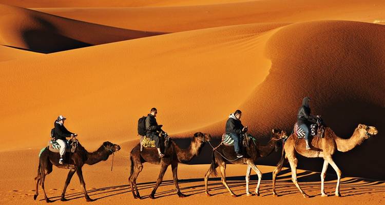 Caravana de camellos con jinetes caminando por dunas del desierto.