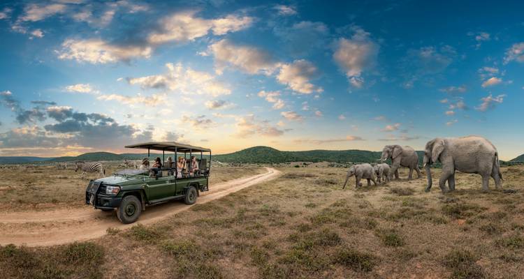 Safari de trabajo/Conferencias en lodges de lujo en la sabana, Parque Nacional Kruger y Ruta Panorámica - Amatungulu Tour 1
