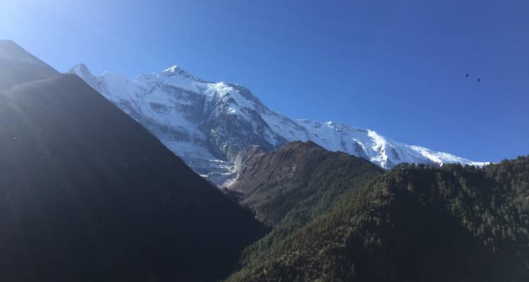 Excursionismo al circuito del Annapurna en grupo pequeño - 12 días - White Hill Adventure Treks and Expedition Pvt Ltd 3