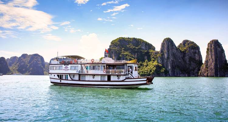 Cruiseboot in Halong Bay met kalkstenen kliffen.