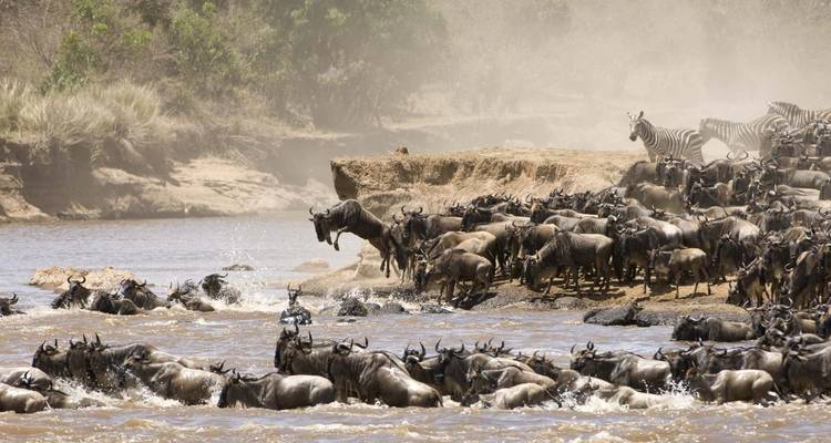 Safari 2023 - 2024 de la Migración de los Ñus en el Maasai mara - Africa Venture Safaris 6
