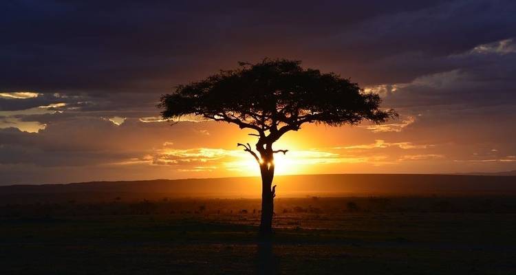 Safari de luxe à Amboseli - 3 jours - Jeep Safaris and Tours 8