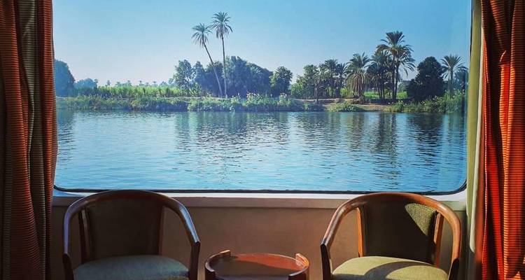Vista del río y las palmeras desde el interior de un barco