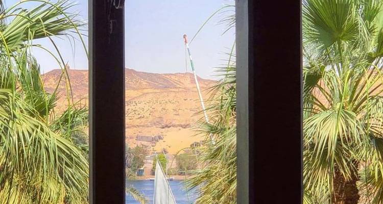 Vista de un desierto y palmera desde una ventana