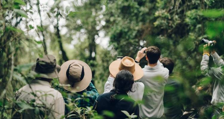 3 Days Gorilla Trekking Tour in Uganda - Oree Safaris 2