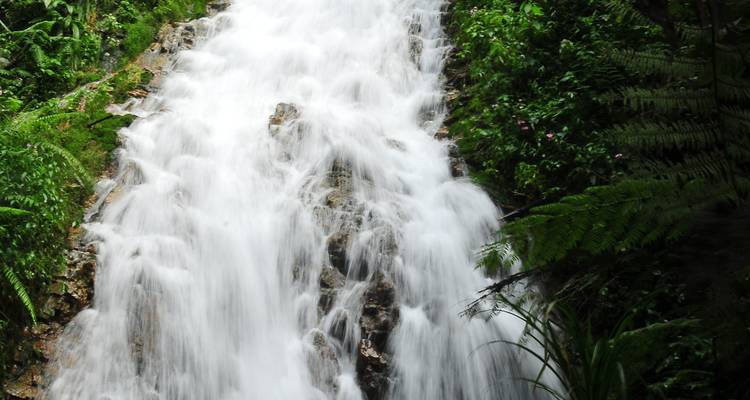 3 Days Gorilla Trekking Tour in Uganda - Oree Safaris 4