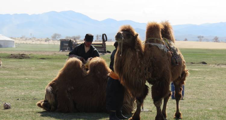 3 Weeks Great Mongolia & Horse back trip - TTRMongolia 3