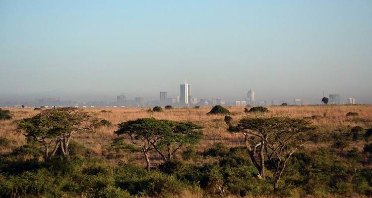 7 jours de safari au Masai Mara, au lac Nakuru et à Amboseli - Jeep Safaris and Tours 10
