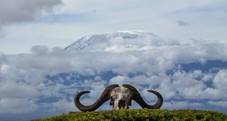 Four Day Red Elephant Luxury Safari - Tsavo West and Amboseli - Jeep Safaris and Tours 3