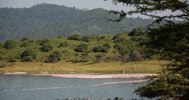 Five Day Tribes of Tanzania Luxury Safari - Jeep Safaris and Tours 2
