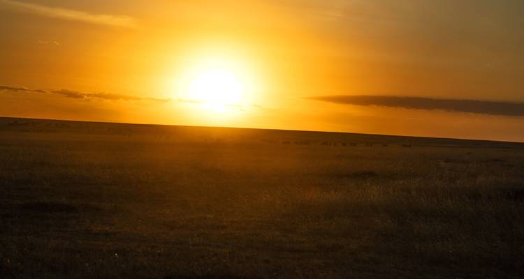 Ten Day Sun and Sand  Luxury Safari - Jeep Safaris and Tours 10