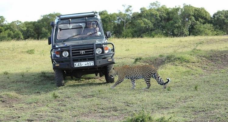 Four Day Tanzania Express Safari - Jeep Safaris and Tours 7